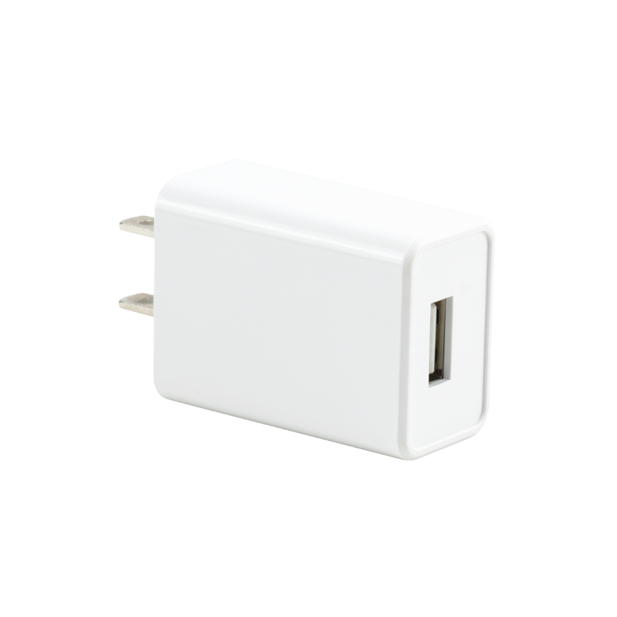 2A Wall Charger