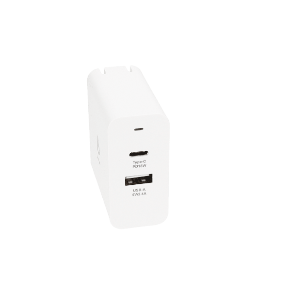 Dual Port Wall Charger