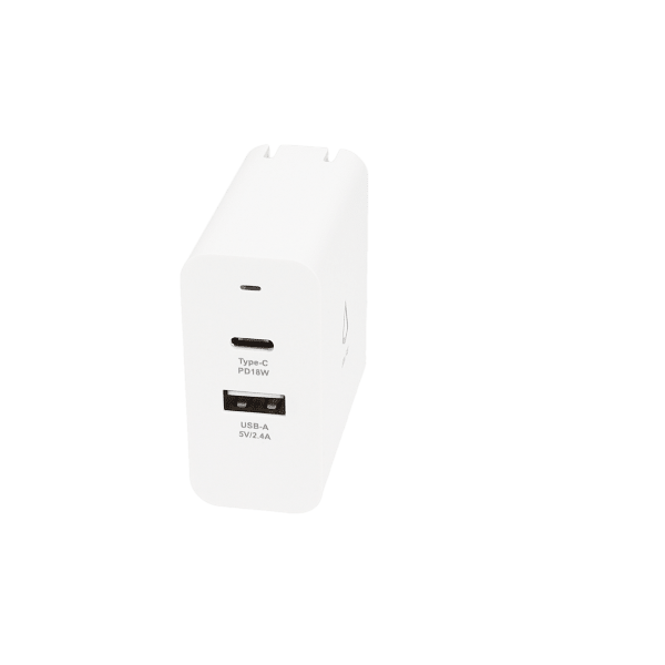 Dual Port Wall Charger