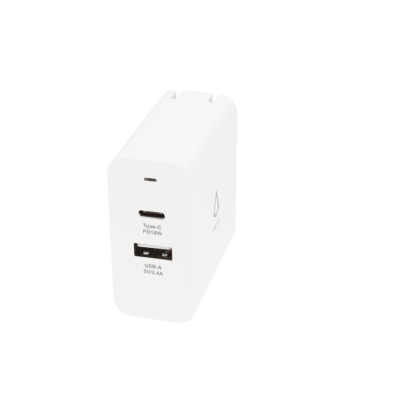 Dual Port Wall Charger