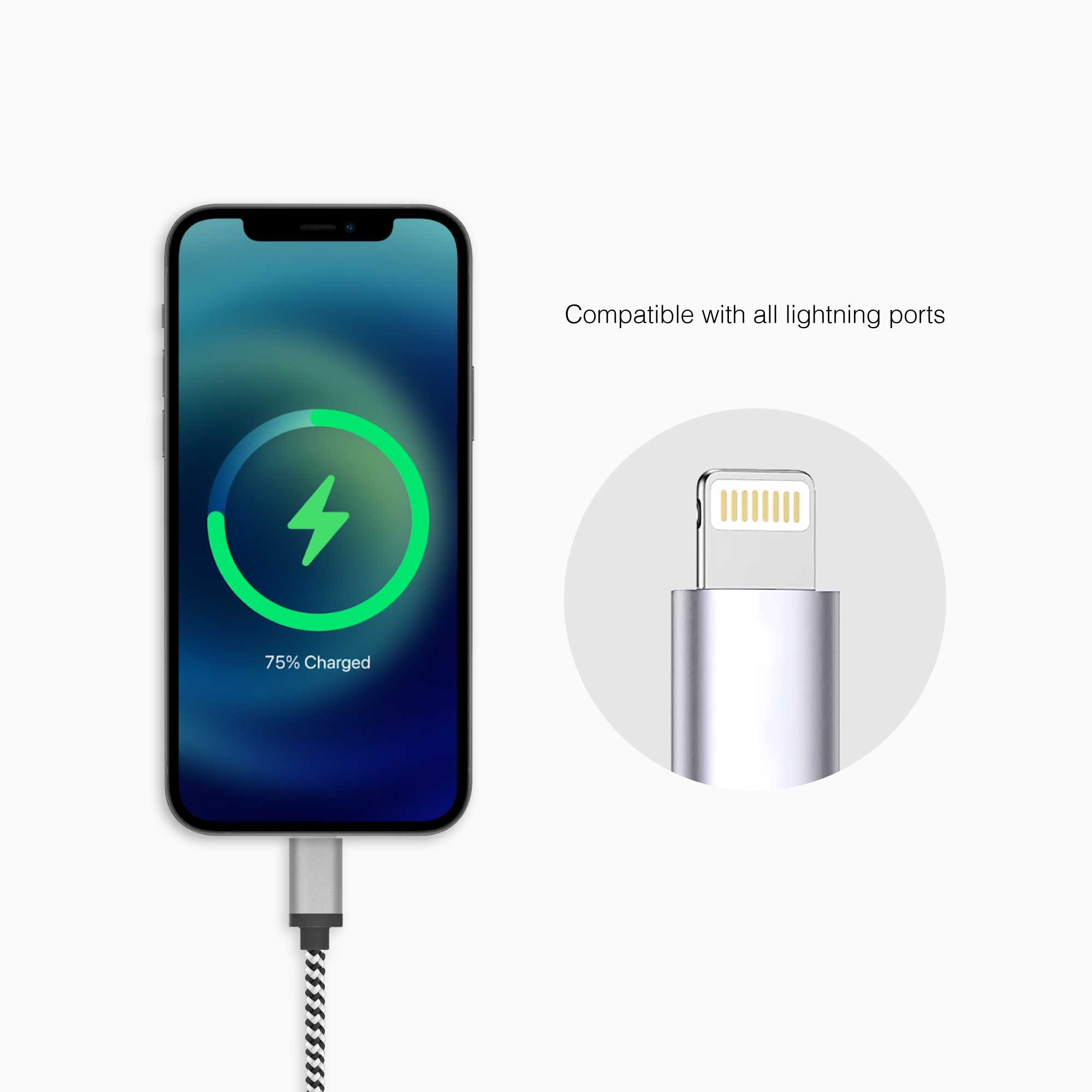 20W PD Wall Charger with 5 Ft. Braided Cable (USB-C to Lightning)