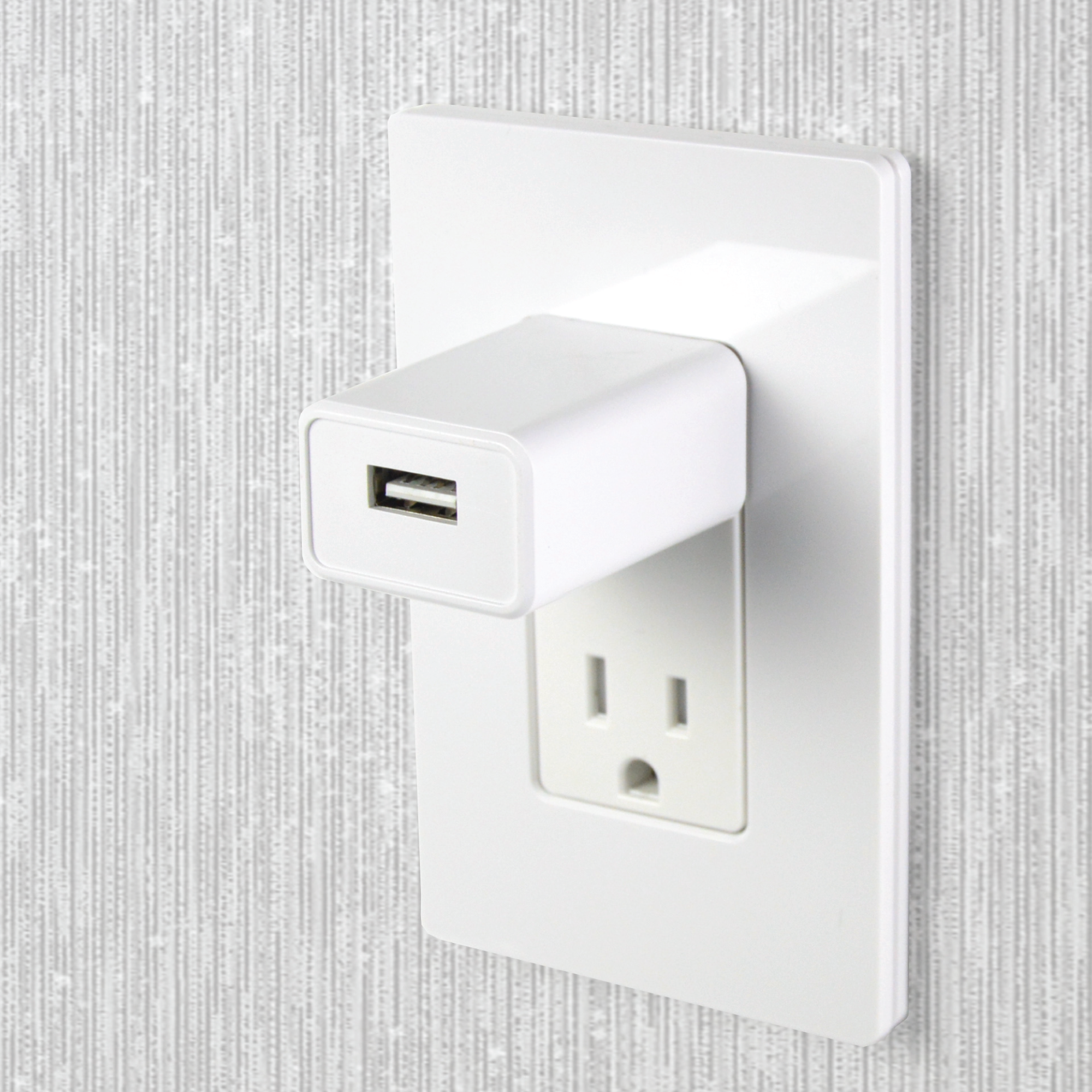 2A Wall Charger