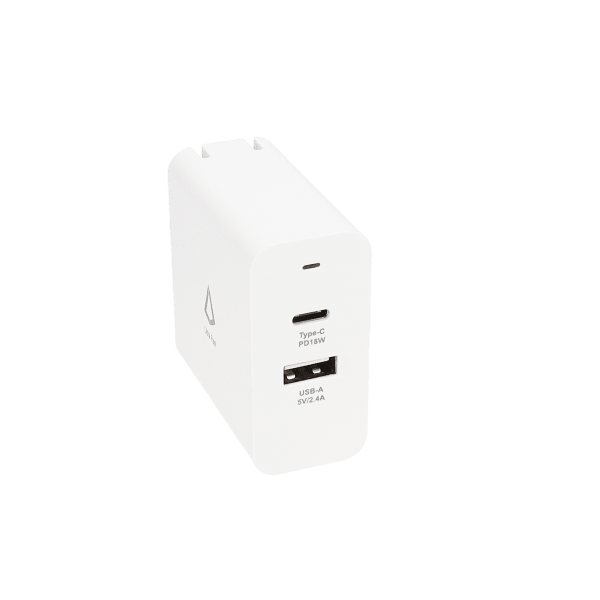 Dual Port Wall Charger
