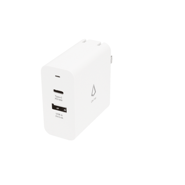 Dual Port Wall Charger