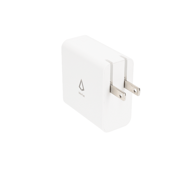 Dual Port Wall Charger